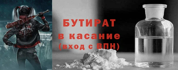 индика Вяземский