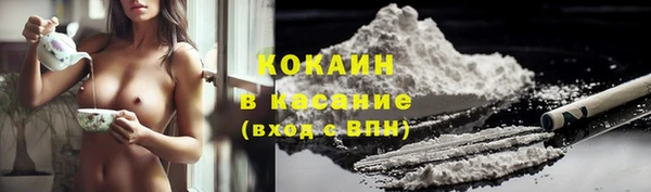 индика Вяземский